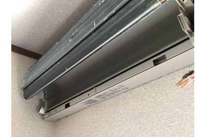 サンプルテキスト